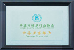 Rolamento Co. de Ningbo Wanshun, Ltd.